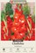 Traderhorn Gladiolus - Vivid Red! - 10 Bulbs - 12/14 cm Bulbs
